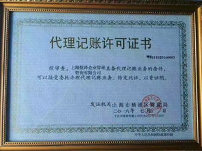 一站式企業服務解決方案 代理記賬、公司注冊與進出口權的全面指南